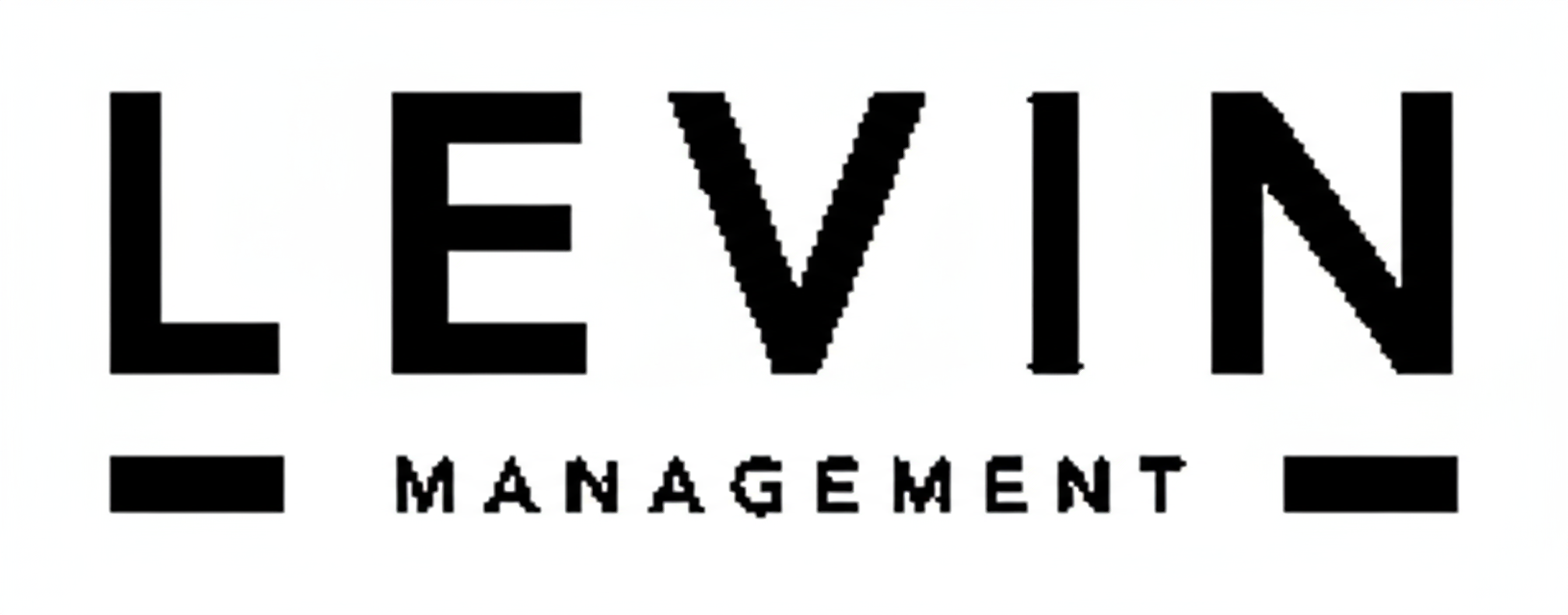 Levin Management logo